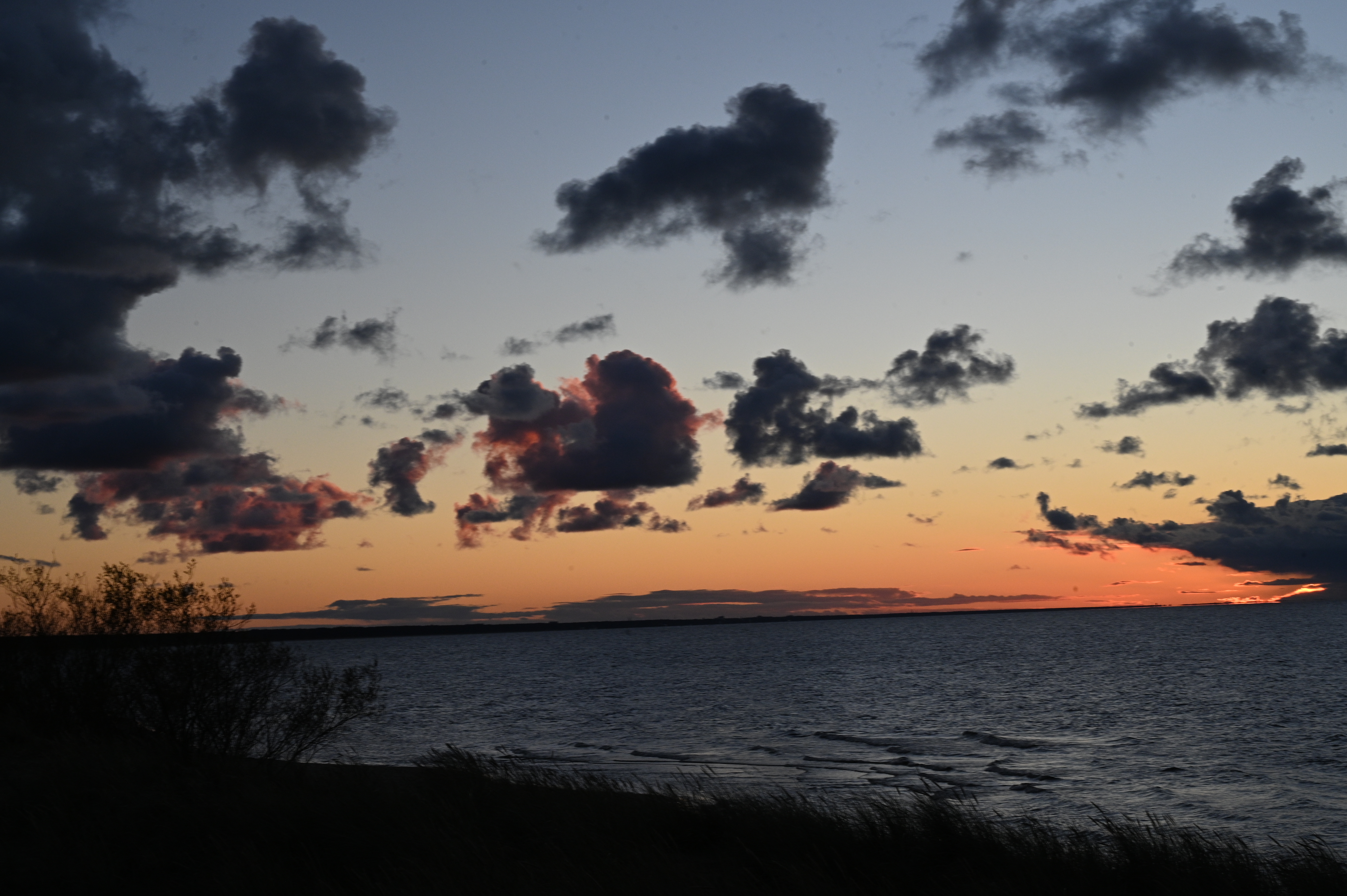 2025/10/18 - walk/DSC_0524.JPG